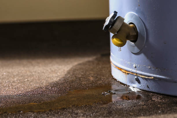 Best Water damage restoration process  in Fox Chapel, PA