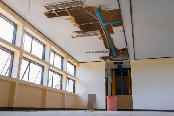 Best Sewage cleanup and water damage restoration  in Fox Chapel, PA