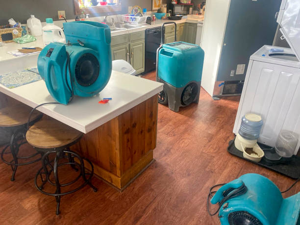 Best Water damage restoration near me  in Fox Chapel, PA