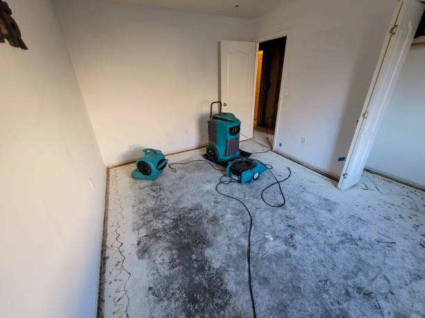 Best Ceiling water damage repair  in Fox Chapel, PA