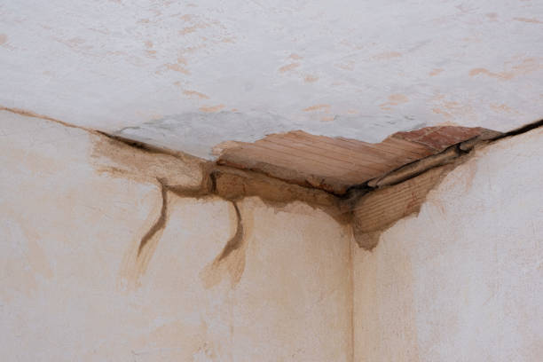 Best Residential water damage restoration  in Fox Chapel, PA