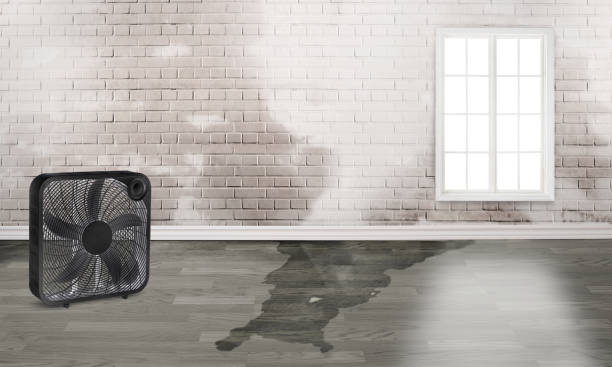 Best Flood restoration services  in Fox Chapel, PA