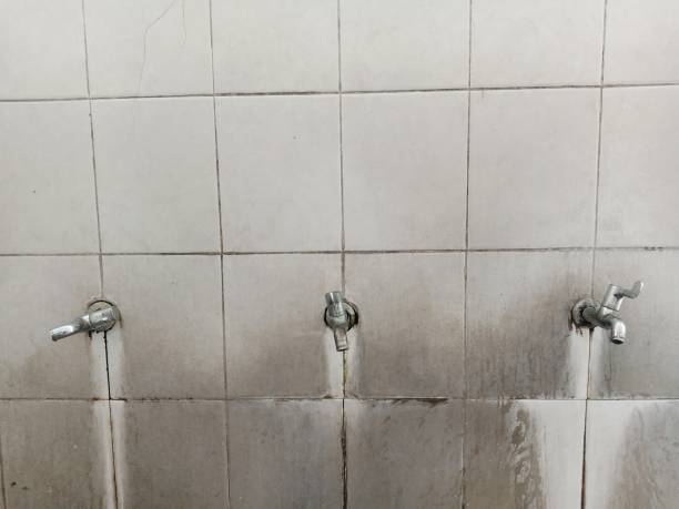 Best Commercial water damage restoration  in Fox Chapel, PA