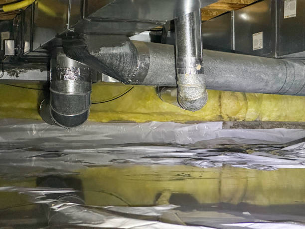 Best Carpet water damage restoration  in Fox Chapel, PA
