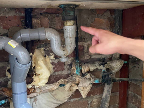Best Water damage mitigation services  in Fox Chapel, PA